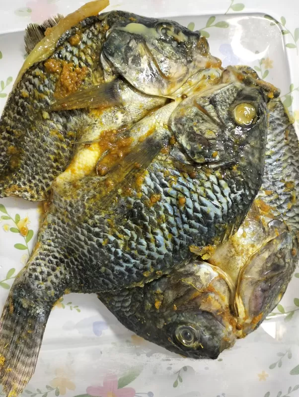 Ikan Mujair belah punggung marinasi